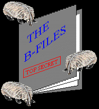 The B-Files